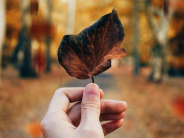 Ít quan tâm hơn, bớt nói đi, ít suy nghĩ, may mắn sẽ càng nhiều!