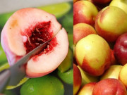 Sức khỏe - Loại quả là "Nữ hoàng trái cây", vitamin C gấp ba lần táo, giúp da căng mọng, đào thải chất béo