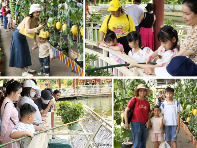 Chùm ảnh: Cha mẹ đội nắng đưa con đến Suối Tiên vui chơi dịp 1/6, bất ngờ với lễ hội trái cây amp;#34;siêu khủngamp;#34; - 3