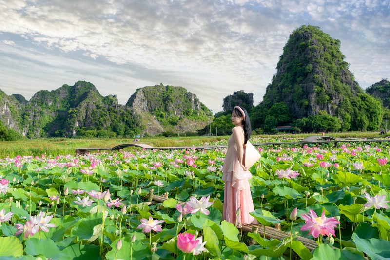 Hà Nội đã vào mùa sen, đừng bỏ lỡ 6 địa điểm chụp ảnh đẹp nao lòng dưới đây bạn nhé! - 6