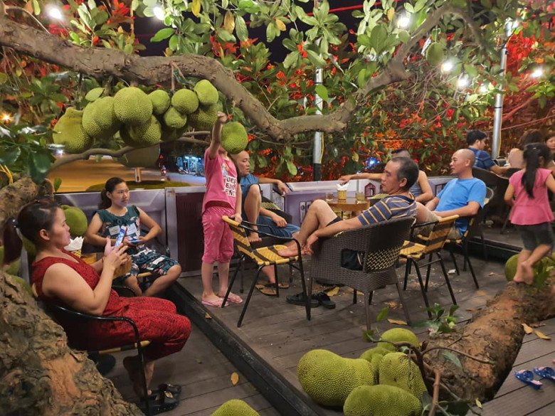 Cây mít sai trĩu quả trong quán cafe, nằm la liệt trên sàn khiến dân tình trầm trồ: amp;#34;Chỉ nhìn thôi đã mê lắm rồiamp;#34; - 6