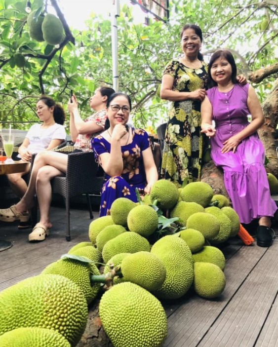 Khách tới ngắm và chụp ảnh bên cây mít độc lạ trong quán cafe