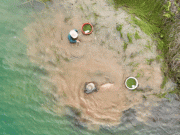 Clip Eva - Ngâm mình dưới nước vớt cá lia thia ở miền Tây