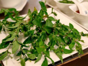 Lifestyle - Loại lá xưa không ai ngó ngàng, nay thành món đặc sản có hương vị lạ trong nhà hàng, nổi tiếng ở Phú Yên