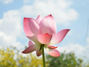 Khả năng lớn nhất của một người gói gọn trong 2 chữ này