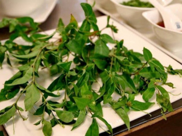 Loại lá xưa không ai ngó ngàng, nay thành món đặc sản có hương vị lạ trong nhà hàng, nổi tiếng ở Phú Yên
