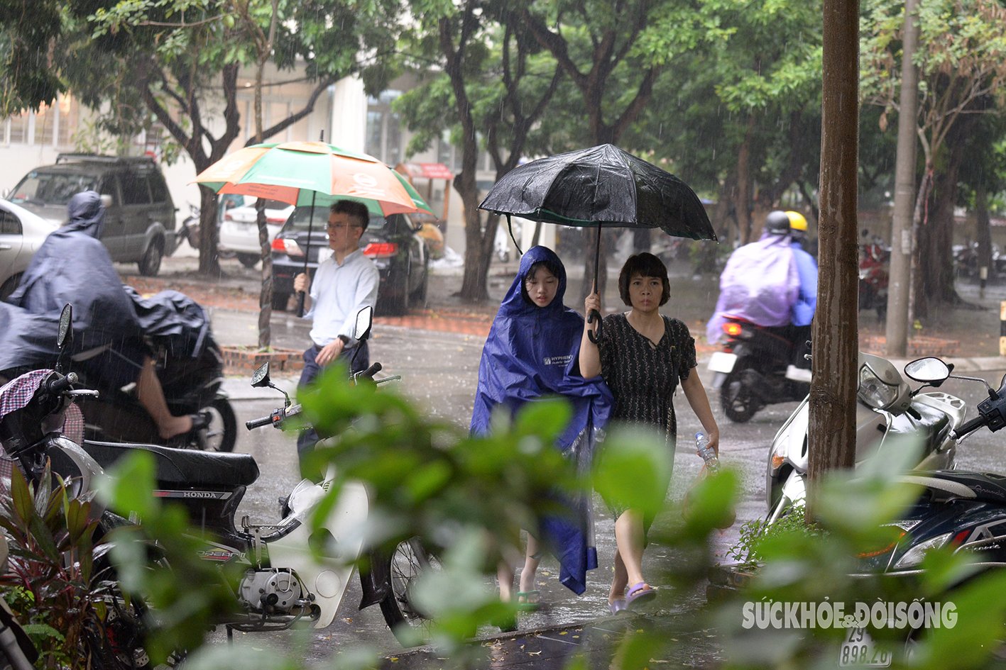 Mẹ con đội mưa đi thi chuyên Sư phạm.