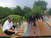 Tin tức - Chuyện về “người cha” xây nghĩa trang chôn cất hơn 21.000 thai nhi, cứu sống gần 200 đứa trẻ 