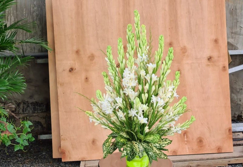 Hoa huệ cũng có nhiều màu sắc khác nhau, nhưng bạn nên chọn hoa huệ trắng tinh khiết để đặt lên bàn thờ.
