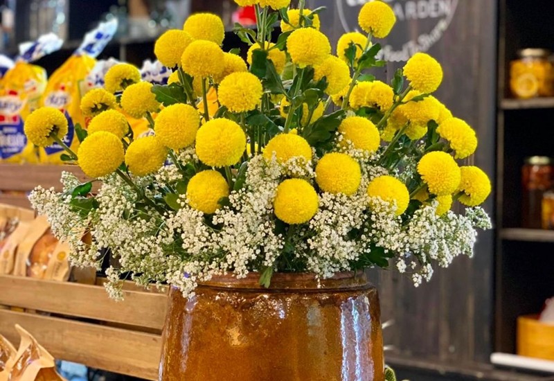 Những cánh hoa được xếp vào nhau tạo thành một khối cầu tròn, sắc vàng tượng trưng cho Phật Giáo. Hoa cúc pingpong còn chứa đựng ý nghĩa của sự đủ đầy và sung túc.
