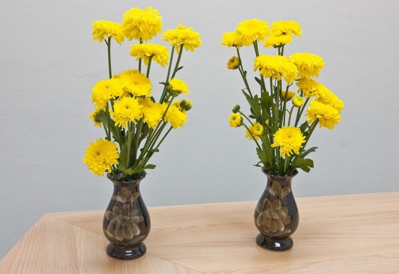 Hoa cúc vàng là loài hoa “quốc dân” luôn xuất hiện trên bàn thờ vào các ngày lễ Tết, giỗ chạp. Và đương nhiên, bạn hoàn toàn có thể dùng hoa cúc vàng để đặt lên bàn thờ vào dịp Tết Đoan Ngọ.
