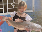 Lifestyle - Đặc sản ở Hòa Bình xưa dùng để tiến vua, nay dân thành phố "săn lùng" vì vừa ngon vừa bổ, nổi tiếng khắp nơi