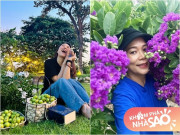 Nhà đẹp - Khu vườn đầu hè của sao Việt: Mỹ Tâm - Mỹ Lệ khoái chí khoe táo xoài đầy vườn, hái vào đầy giỏ