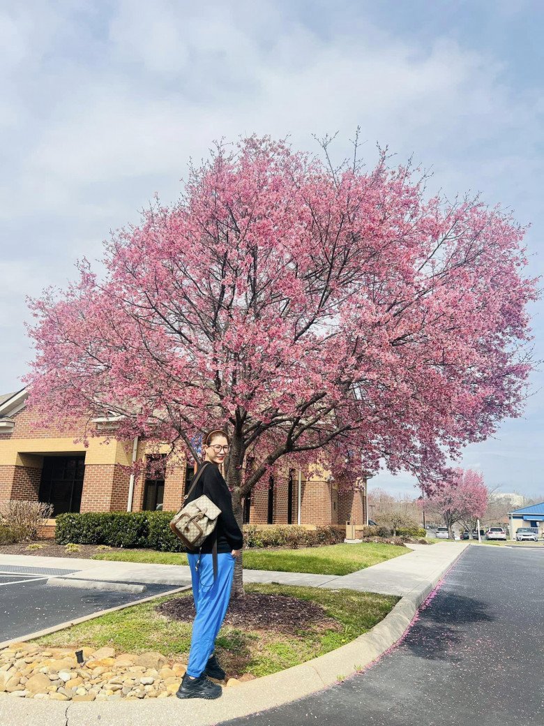 Trang Trần khẳng định tình hình tài chính vẫn ổn định, đi làm chỉ để đỡ buồn.