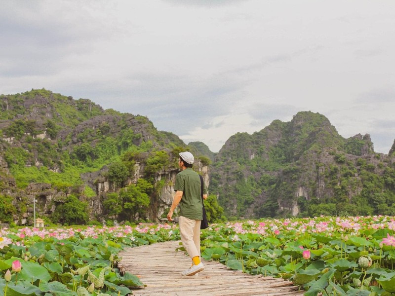 Dọc theo hồ sen còn có cầu gỗ nên du khách có thể thỏa thích check-in cho ra đời loạt ảnh sống ảo cực chất. (Ảnh: Huy Tuấn)
