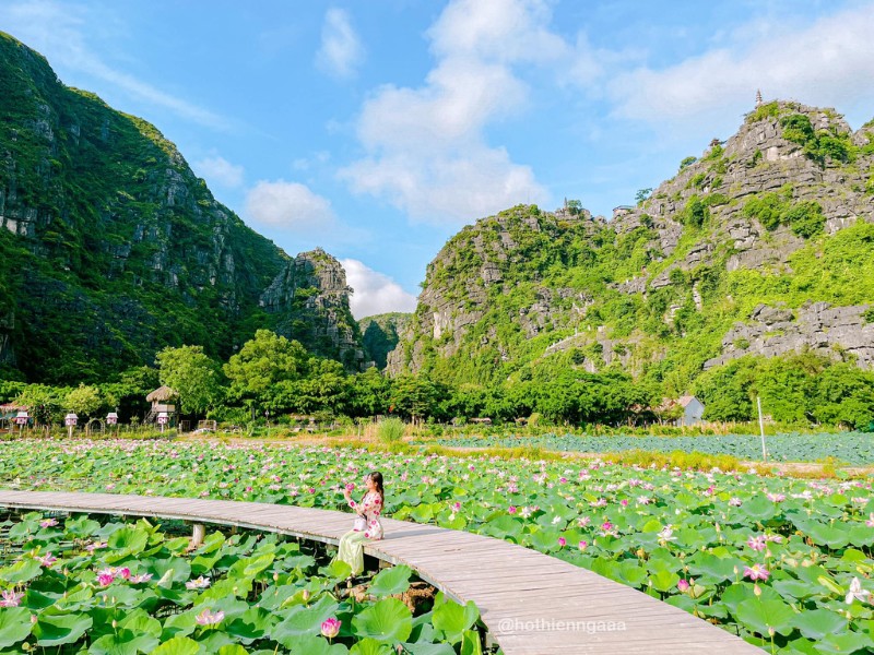 Sáng sớm trời nắng còn chưa gắt, hoa cũng trong độ tươi và đẹp nhất, thậm chí chúng ta còn có thể thấy được sương còn đọng trên lá hay cánh hoa. (Ảnh: Hồ Thiên Nga)
