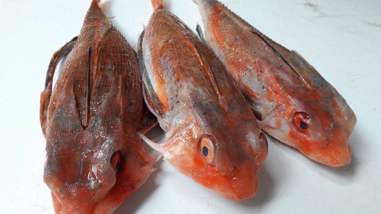 Đặc sản có tên vô cùng lạ, xưa không ai ăn nay nhiều người săn lùng vì hương vị đặc biệt, nổi tiếng khắp nơi - 2