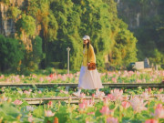 Lifestyle - Mê mẩn lạc bước giữa đầm sen Hang Múa - địa điểm "hot" nhất miền Bắc lúc này!