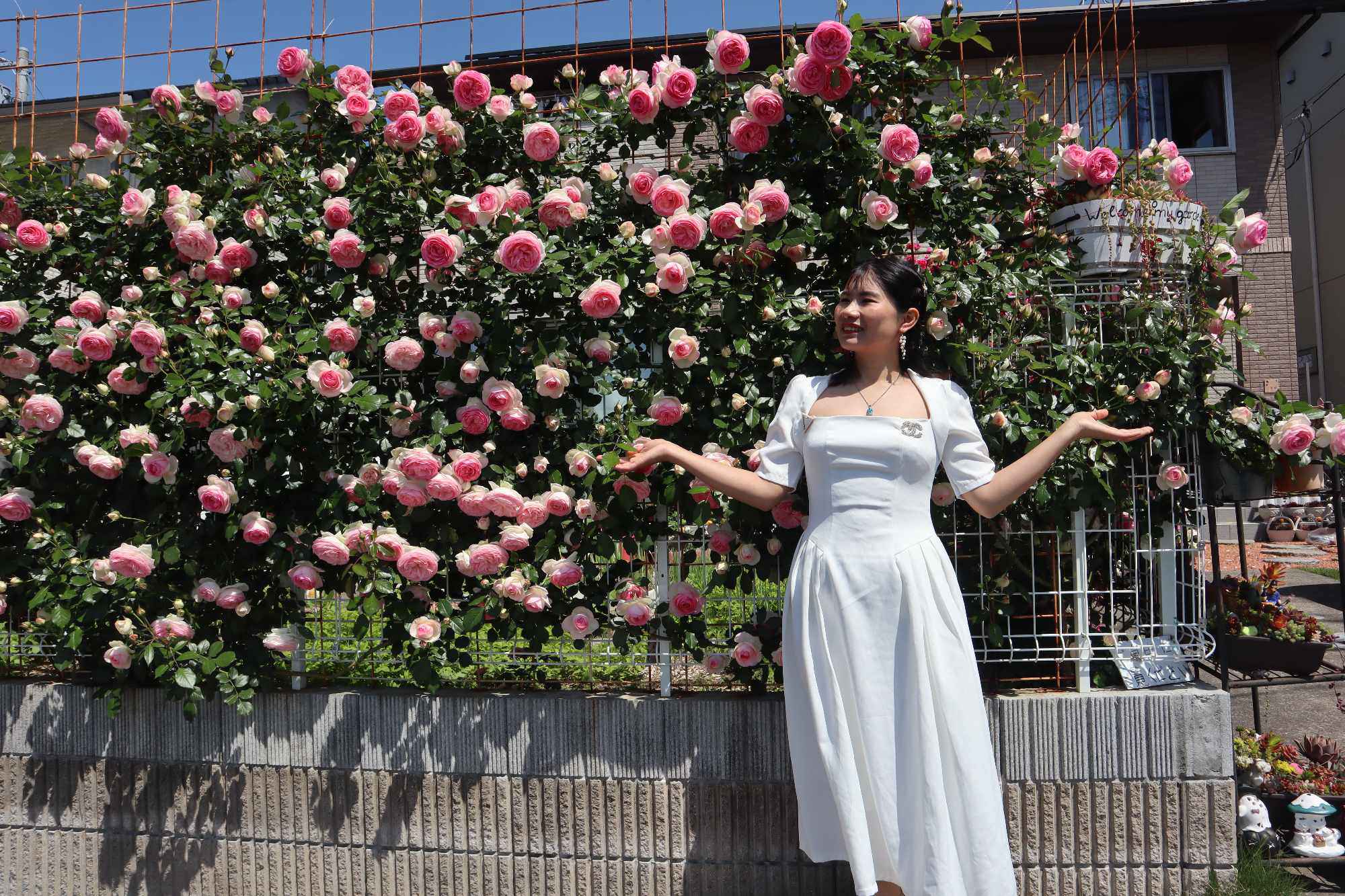 Mẹ Việt chi 60 triệu cải tạo vườn ở Nhật: Rau thơm đủ loại, hoa hồng đua nhau khoe sắc rực rỡ - 3