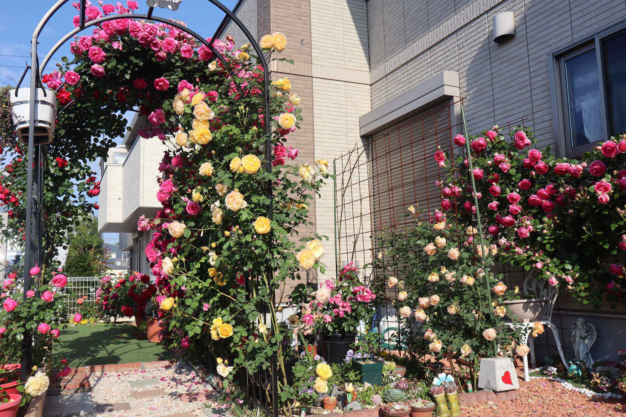 Mẹ Việt chi 60 triệu cải tạo vườn ở Nhật: Rau thơm đủ loại, hoa hồng đua nhau khoe sắc rực rỡ - 11
