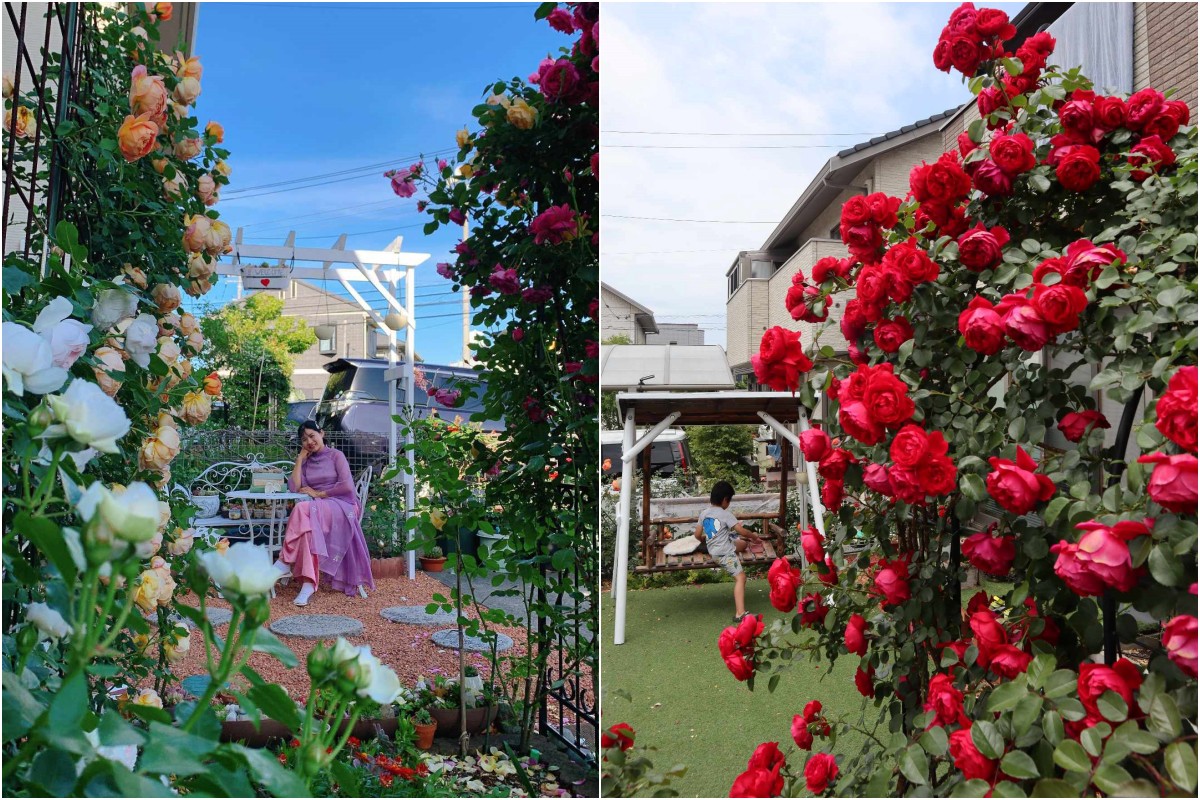 Mẹ Việt chi 60 triệu cải tạo vườn ở Nhật: Rau thơm đủ loại, hoa hồng đua nhau khoe sắc rực rỡ - 7