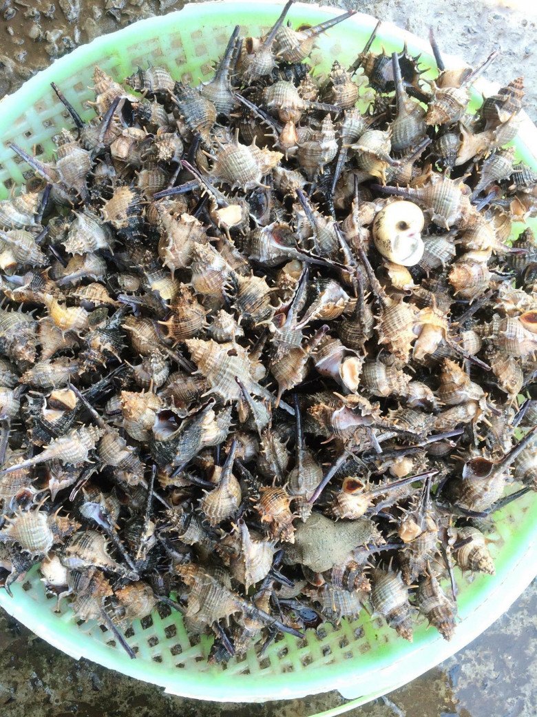 Đặc sản vô cùng lạ ở Kiên Giang, xưa không ai biết nay nổi tiếng khắp ...