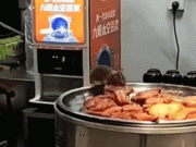 Clip Eva - Người dân bất ngờ chứng kiến cảnh tượng nổi da gà trong cửa hàng ăn