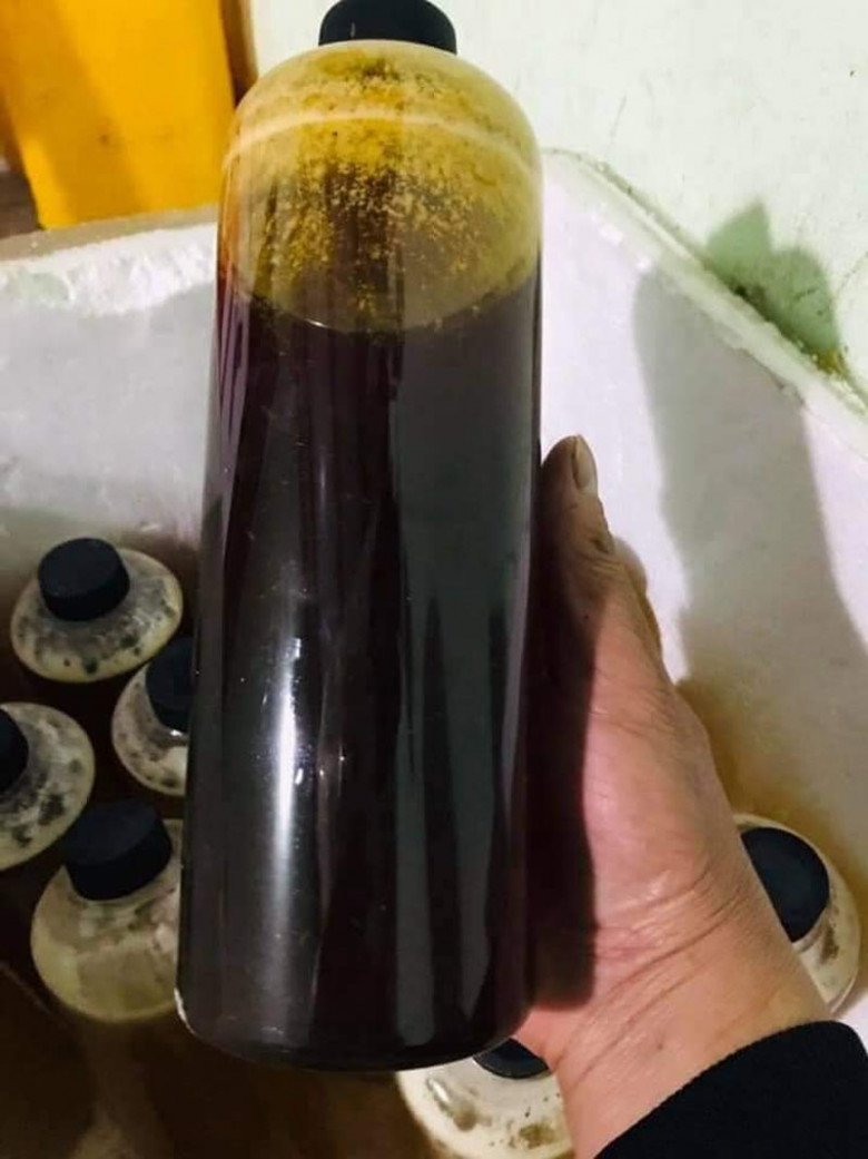 Mật ong sâm Ngọc Linh có màu đen chứ không phải màu cánh gián như các loại mật ong thông thường