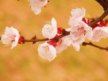 Mối quan hệ thân đến mấy cũng đừng tùy tiện tiết lộ 3 điều sau