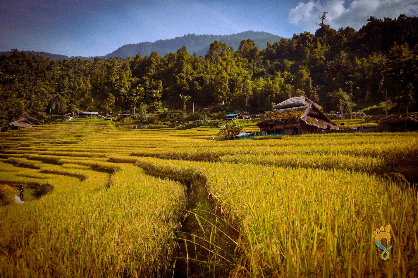 img src/upload/2-2024/images/2024-06-18/1718710683-picture-3-2-41-width1429height802.jpg width660 /