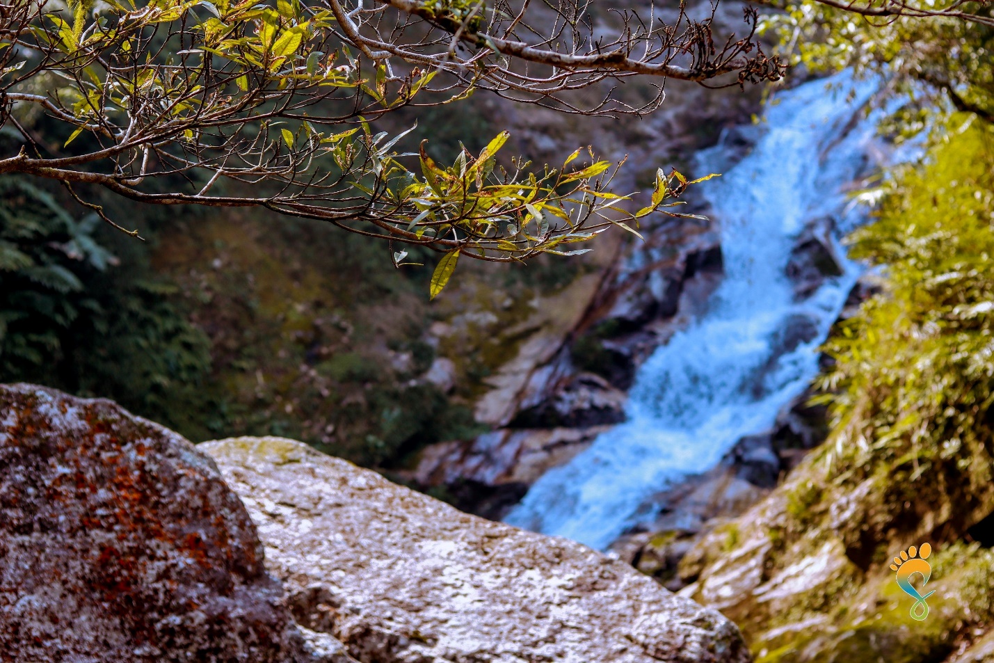 Say đắm lòng người với vẻ đẹp thiên nhiên Xà Phìn - 9