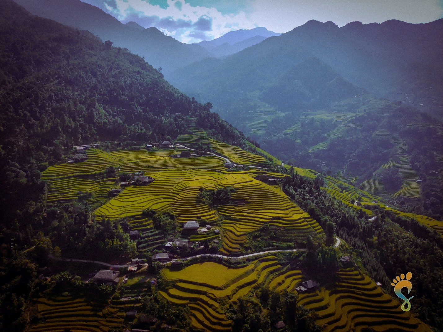 Ruộng bậc thang của Xà Phìn vì vậy mà có địa thể vô cùng hùng vĩ