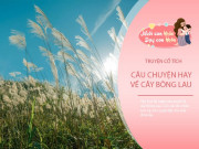 Nuôi con IQ EQ - Truyện cổ tích: Sự tích cây Bông Lau