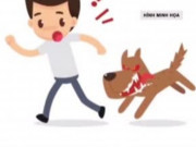Clip Eva - Tử vong sau 1 tháng bị chó nhà hàng xóm cắn nhưng chủ quan không tiêm phòng dại
