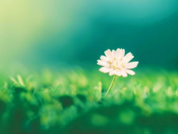 Sau tuổi trung niên, cách sống tử tế nhất gói gọn trong 3 điều