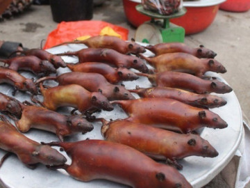 Đặc sản vô cùng lạ ở Hà Giang, nhìn nổi da gà nhưng hương vị thơm ngon khó cưỡng, dân thành phố thích mê