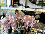 Nhà đẹp - Vợ cũ Phước Sang cắm loài sen độc lạ khắp cơ ngơi, phải xoa xoa vỗ vỗ hoa mới chịu nở