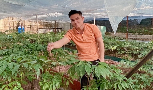 Trần Cao Nguyên bên vườn sâm Ngọc Linh