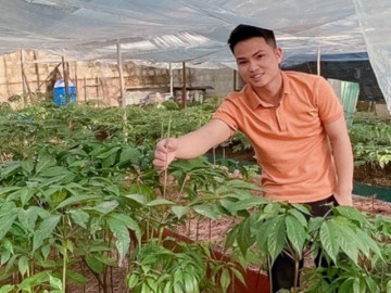 Nghề lạ ở Việt Nam: Anh nông dân lãi 1 tỷ đồng/năm nhờ khởi nghiệp từ cây mọc dại, thân và lá đều bán đắt tiền