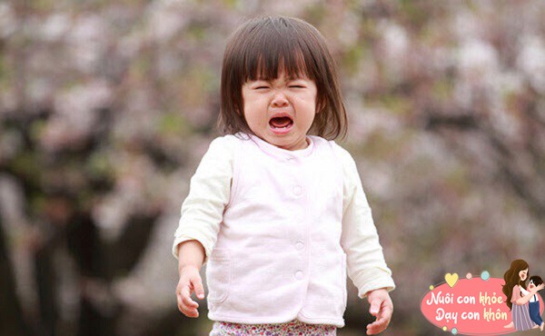 Trẻ dễ nổi giận thường phản ánh những nhu cầu sâu xa hơn của trẻ mà bố mẹ chưa kịp nhận ra.