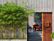 Nhà đẹp - Có nên trồng cây tre, trúc trước cửa nhà? 10 người thì 9 người trả lời sai