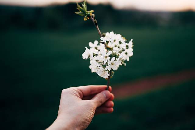 Người sống nghiêm túc thường không đơn giản, chớ xem thường - 2