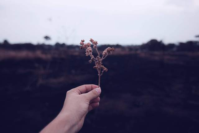 Người sống nghiêm túc thường không đơn giản, chớ xem thường - 3