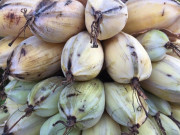 Tiêu dùng - Loại quả xưa rụng đầy không ai biết đến, giờ thành đặc sản dân thành phố "săn lùng" khắp nơi, 120.000 đồng/kg