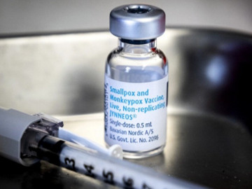 WHO cảnh báo chủng đậu mùa khỉ mới nguy hiểm