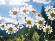 Eva tám - Người càng khôn ngoan, càng giỏi làm phép trừ