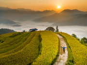 Lifestyle - Săn mây ở khắp Việt Nam