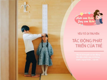 Kiểm tra chiều cao, trí thông minh, ngoại hình... từ 5 bí mật di truyền, xem con giống ai hơn?
