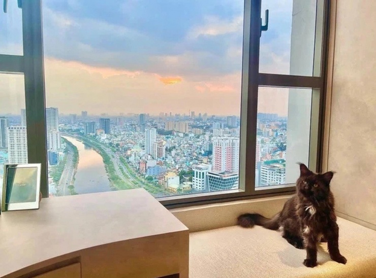 Căn hộ của Trấn Thành - Hari Won tọa lạc giữa trung tâm quận 1 (TP.HCM), giá khoảng 20 tỷ đồng.