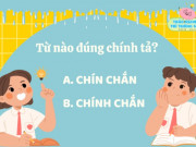 Nuôi con IQ EQ - Hãy trả lời câu đố trong 10 giây: Chín chắn hay chính chắn mới đúng chính tả?